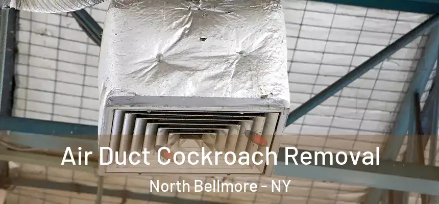  Air Duct Cockroach Removal North Bellmore - NY