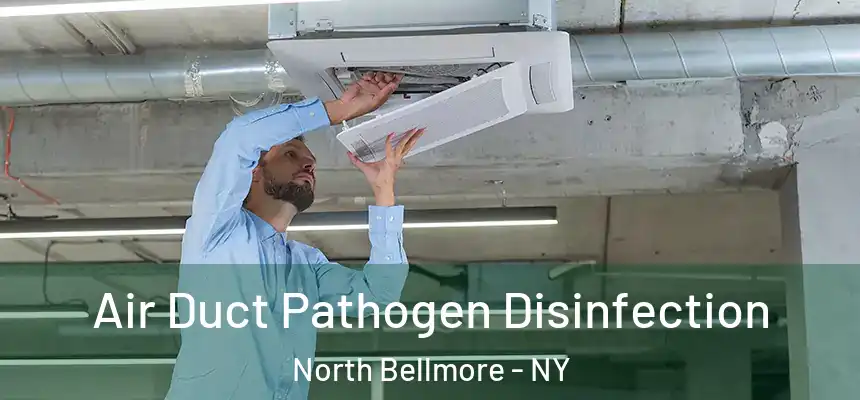  Air Duct Pathogen Disinfection North Bellmore - NY