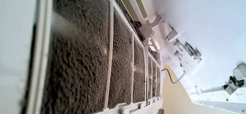 Preventive Air Duct Bacteria Removal in North Bellmore