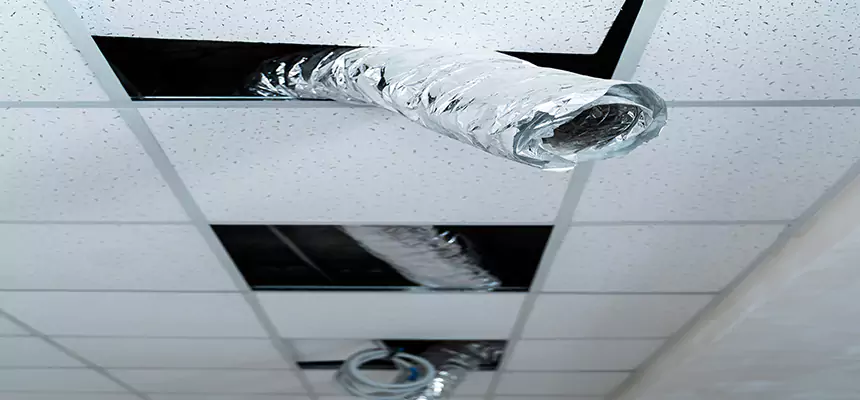 Our Air Duct Pet Hair Removal Services in North Bellmore, NY