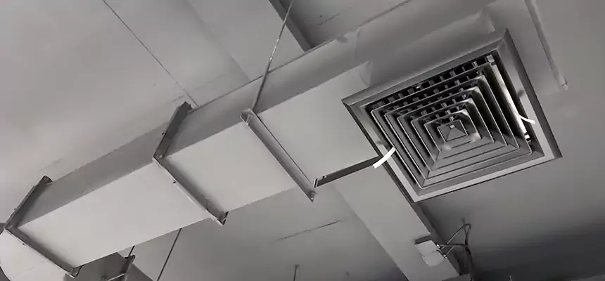 Our Pest Removal From Ducts Services in North Bellmore, NY