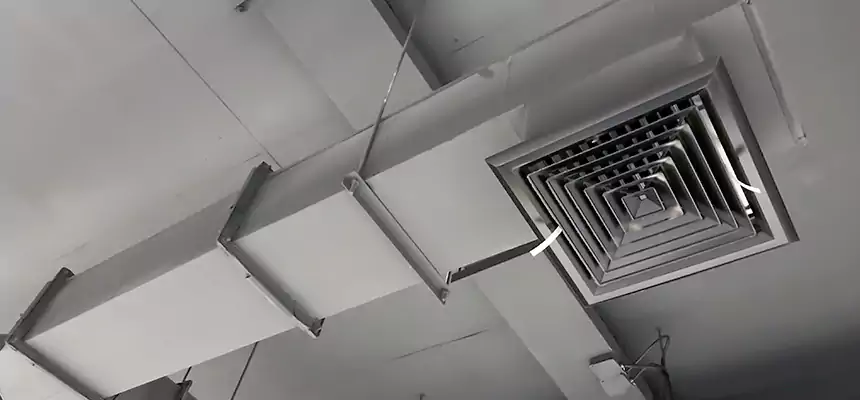 Our Rodent Droppings In Vents Services in North Bellmore, NY