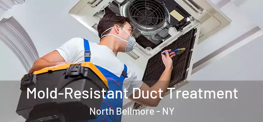  Mold-Resistant Duct Treatment North Bellmore - NY