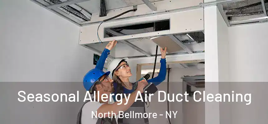  Seasonal Allergy Air Duct Cleaning North Bellmore - NY