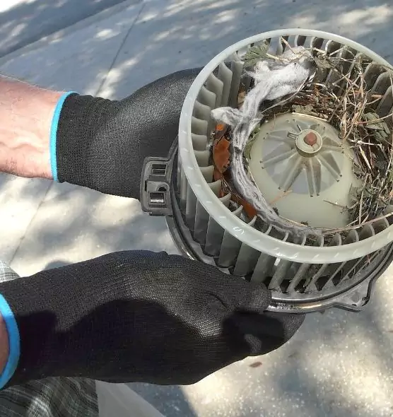 About Air Duct Mice Removal in North Bellmore, NY