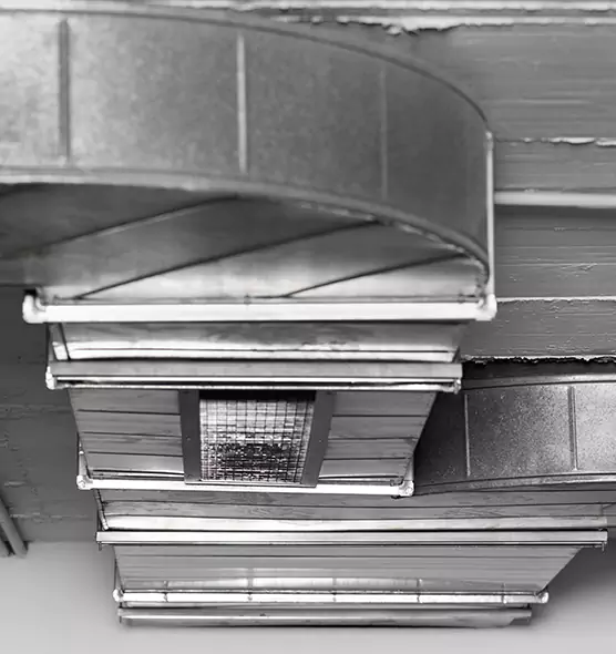 Professional Air Duct Pest Removal in North Bellmore, NY