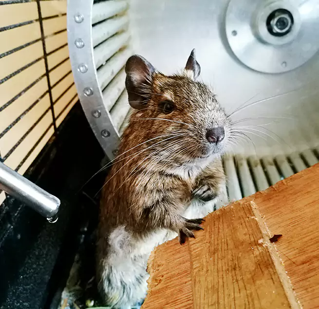 Why Homeowners & Businesses Trust Us North Bellmore, NY?